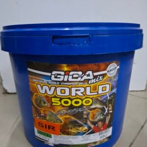 GICA World 5000