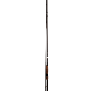 Catana